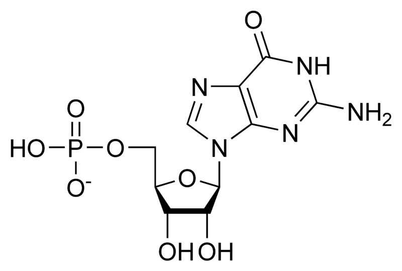单磷酸鸟苷.png