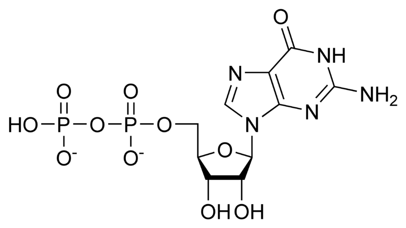 二磷酸鸟苷.png