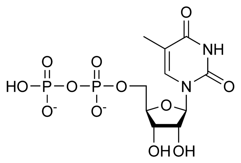 胸苷二磷酸.png