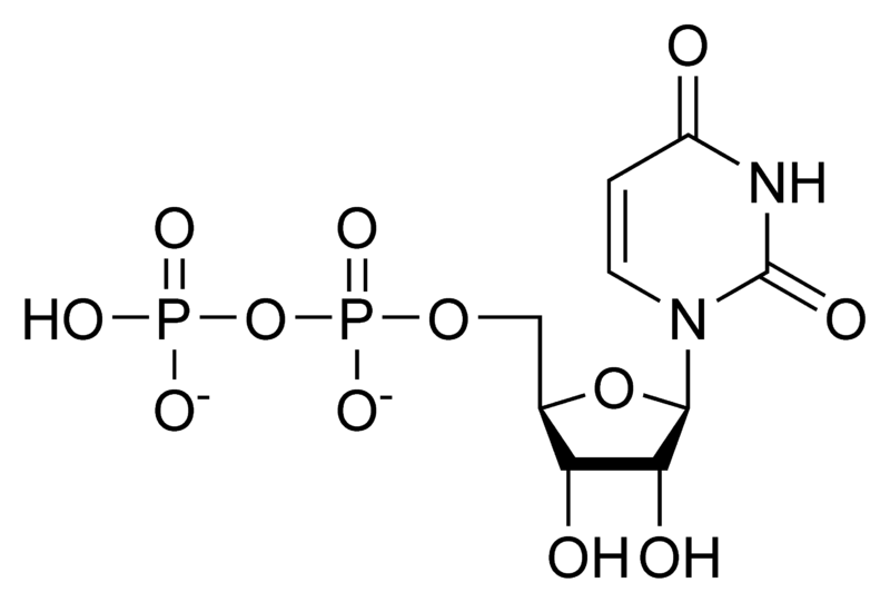 尿苷二磷酸.png