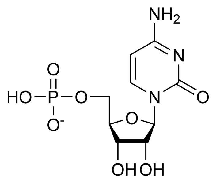 单磷酸胞苷.png