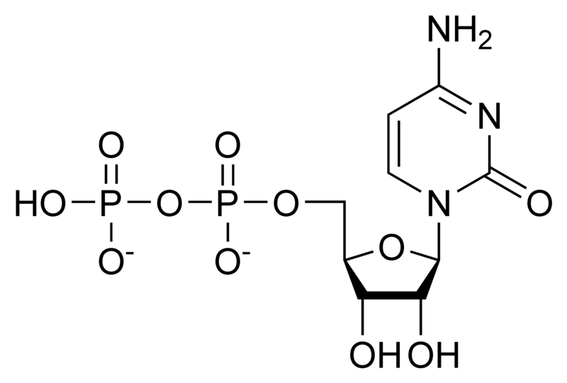 二磷酸胞苷.png