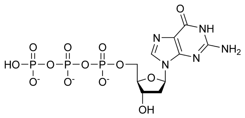 脱氧鸟苷三磷酸.png
