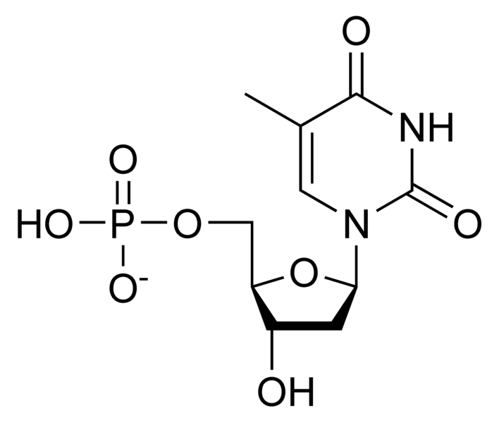 单磷酸脱氧尿苷.png