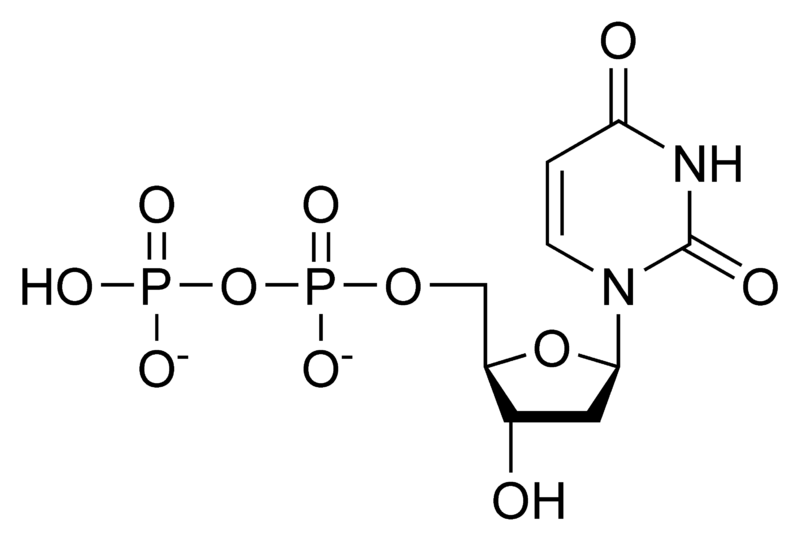 二磷酸脱氧尿苷.png