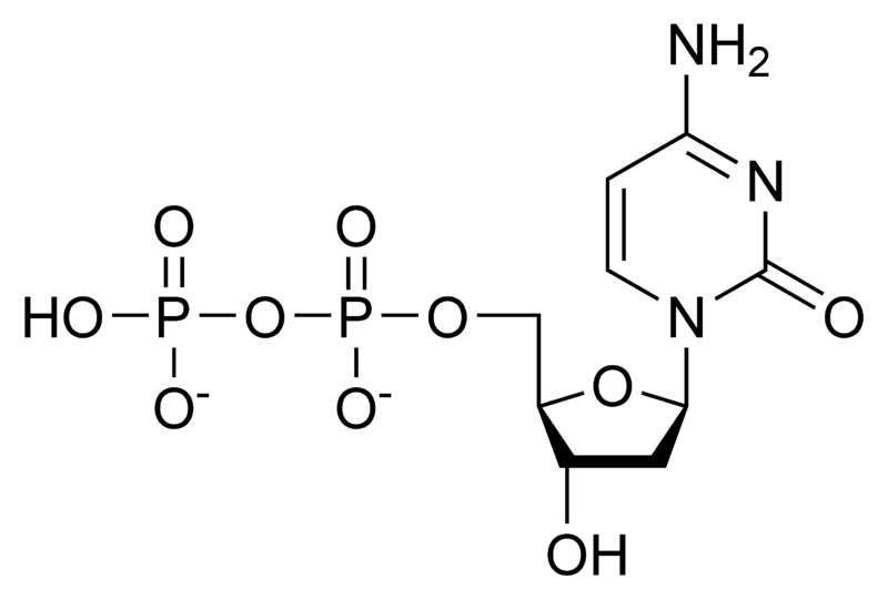 脱氧胞苷二磷酸.png