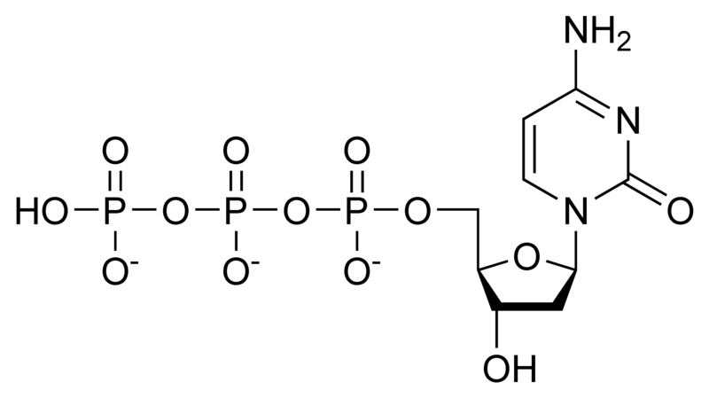 脱氧胞苷三磷酸.png