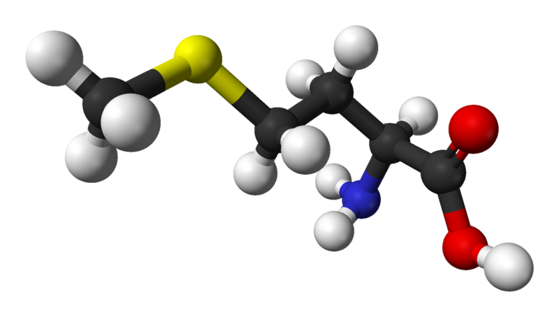 甲硫氨酸.png